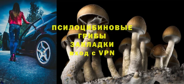 ешки Абдулино