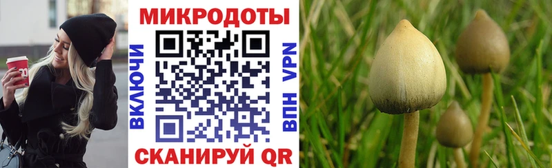 купить наркотики сайты  Советский  Галлюциногенные грибы прущие грибы 