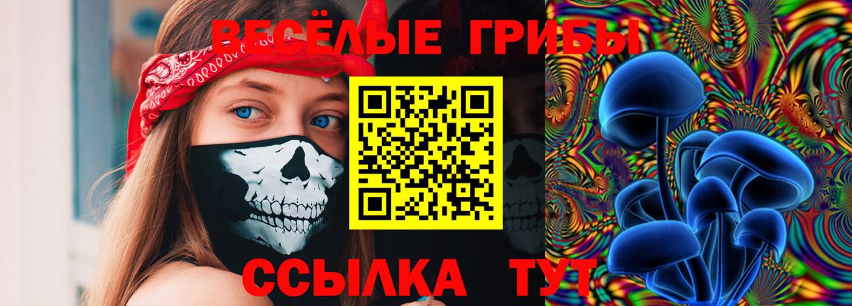 Псилоцибиновые грибы Cubensis  Вход с VPN  Советский 